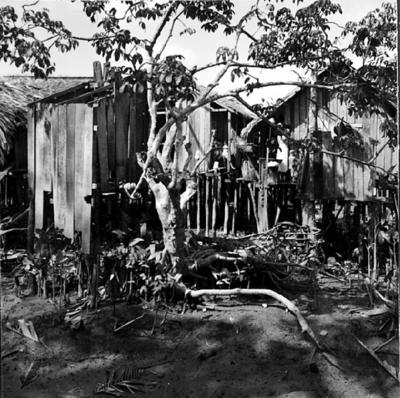 Vila da Barca, palafitas flutuantes