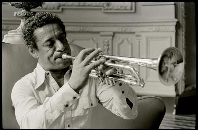 Formiga com o trompete