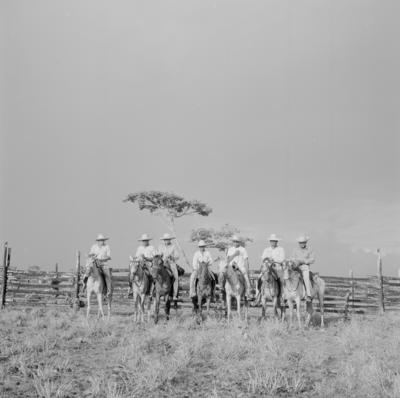 Ilha Mexiana, vaqueiros