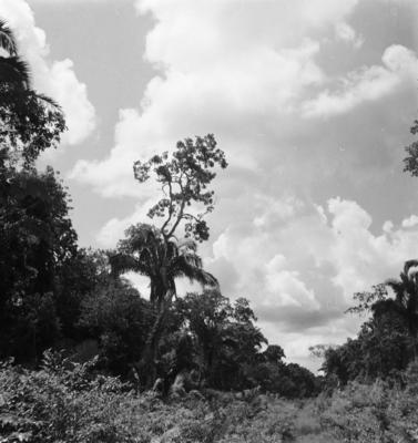 Série "Estrada de Ferro Tocantins"