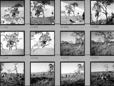 Universidade de Brasília