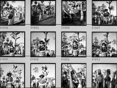 Bumba meu boi, festa popular