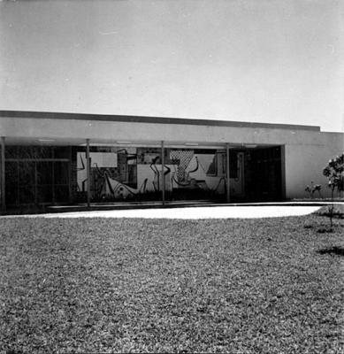 Cidade Universitária da UFRJ, Instituto de Puericultura e Pediatria Martagão Gesteira, projeto de Jorge Machado Moreira