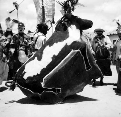 Bumba Meu Boi, festa popular