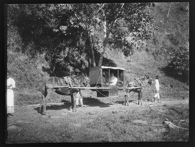 Liteira puxada por burros