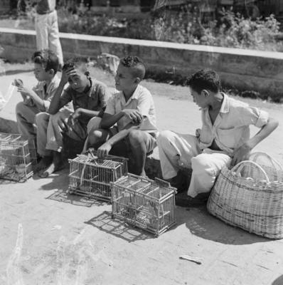Feira dos Passarinhos