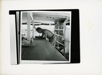 Paulo Vanzolini (reprodução)