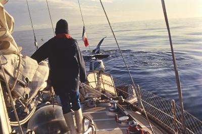 Aventuras de Igor na Antártida