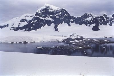 Aventuras de Igor na Antártida