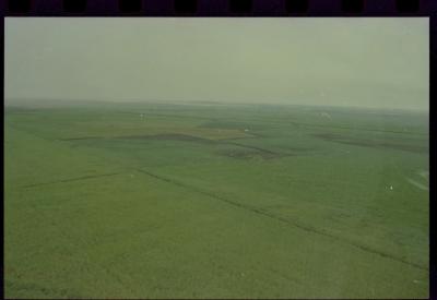 Produção de filme institucional sobre usinas de açúcar