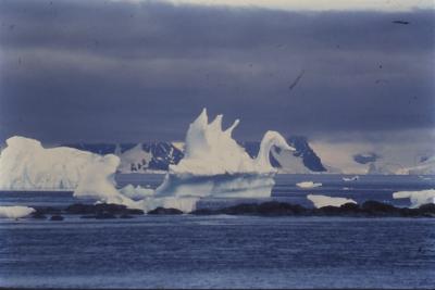 Iceberg em forma de cisne