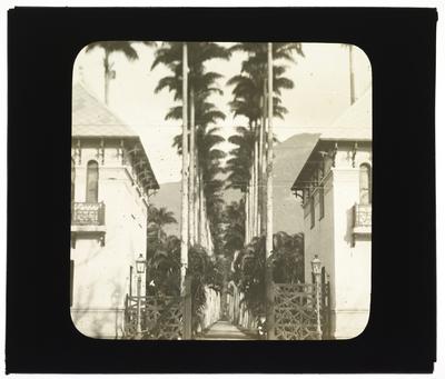 Entrada do Jardim Botânico e a Aleia de Palmeiras Imperiais Barbosa Rodrigues