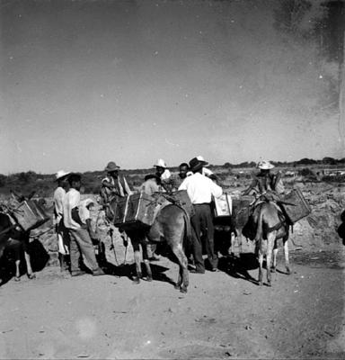 Bom Jesus da Lapa, grupo de pessoas e jegues