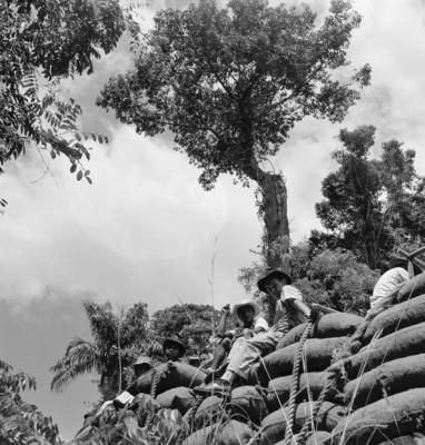 Série "Estrada de Ferro Tocantins"