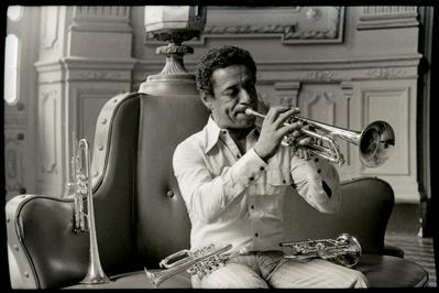 Formiga com o trompete