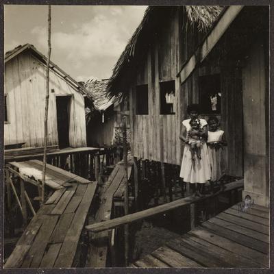 Vila da Barca, palafitas flutuantes