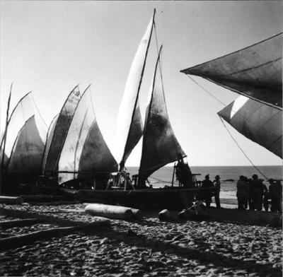 Jangadas e jangadeiros