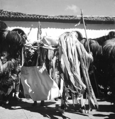 Bumba meu boi, festa popular
