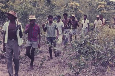 Roça no Quilombo de Sibaúma