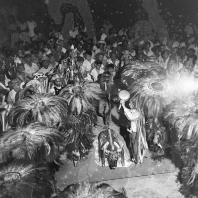 Bumba meu boi, festa popular