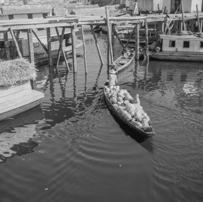 Palafitas flutuantes