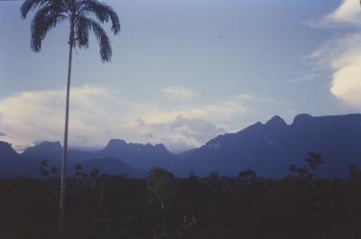 Pico da Neblina, visto de Maturacá