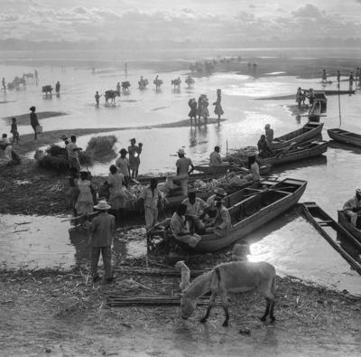 Cena do Rio São Francisco