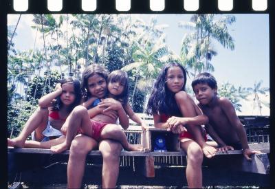 Projeto "Navegar Amazônia"