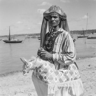 Bumba meu boi, festa popular