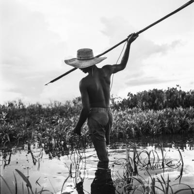 Caça de jacarés na Ilha Mexiana