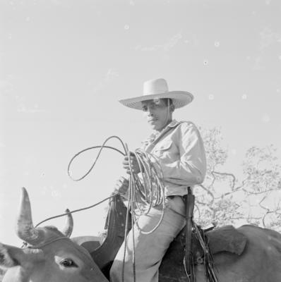 Vaqueiro - Ilha Mexiana