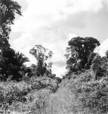 Série "Estrada de Ferro Tocantins"
