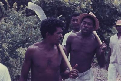 Roça no quilombo de Sibaúma