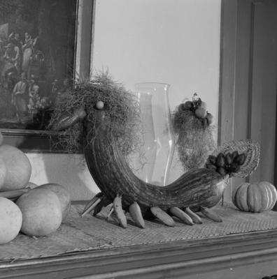 Decoração no interior do Sítio Burle Marx