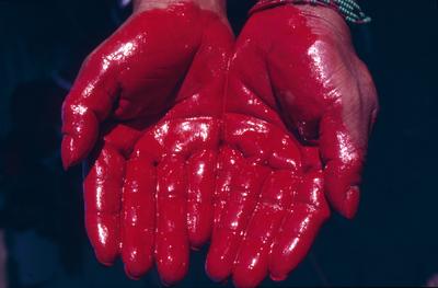 Série Xingu - Preparo da pasta de urucum