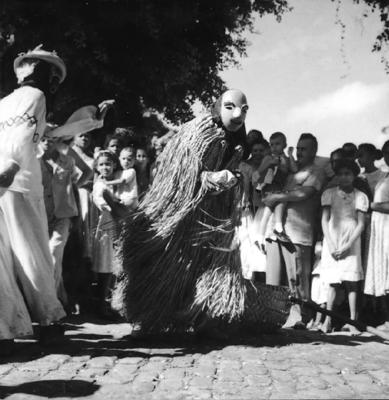 Bumba meu boi, festa popular