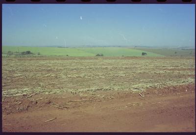 Produção de filme institucional sobre usinas de açúcar