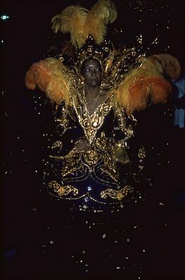 Série Carnaval - Integrantes de escolas de samba