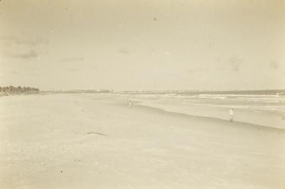 Litoral do nordeste brasileiro