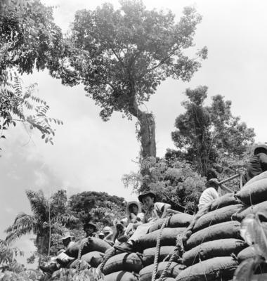 Série "Estrada de Ferro Tocantins"