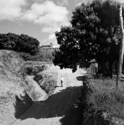 Santuário Diocesano do Bom Jesus de Matosinhos, com profetas