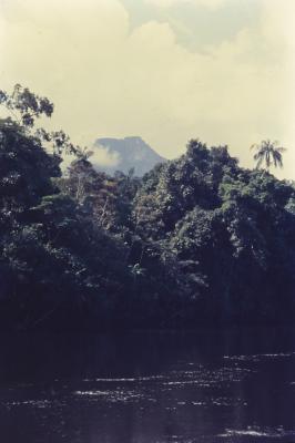 Expedição Pico da Neblina