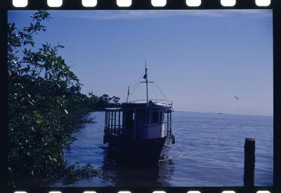 Projeto "Navegar Amazônia"