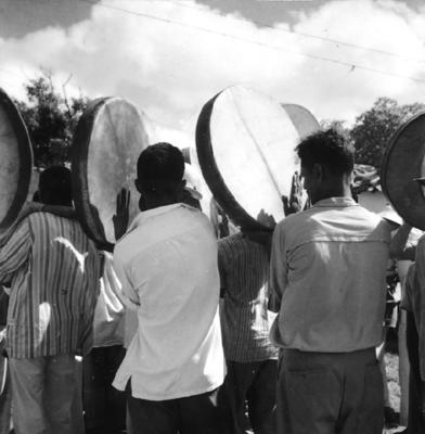 Bumba meu boi, festa popular