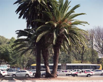 Megacidades – São Paulo #13