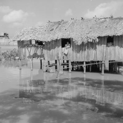 Vila da Barca, palafitas flutuantes