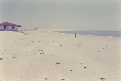 Vila de pescadores no litoral sul, próximo ao Quilombo de Sibaúma