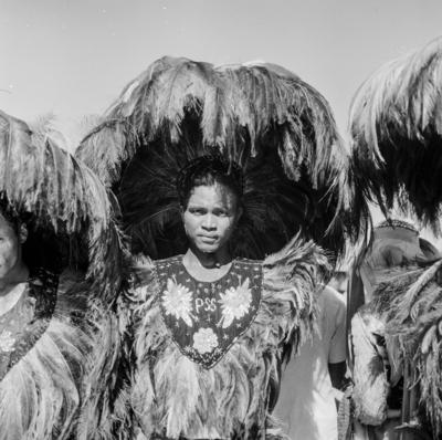 Bumba meu boi, festa popular
