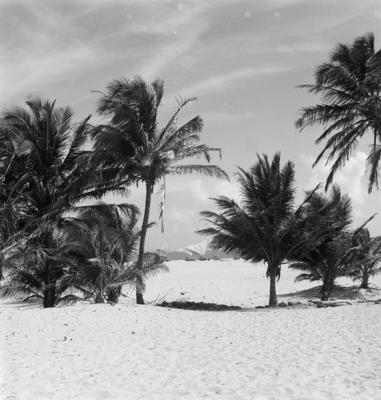 Jangadas e jangadeiros