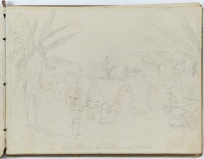 Colheita do café na Soledade